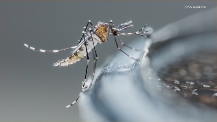 Fifth mosquito trap tests positive for West Nile virus in Hays County in 2026