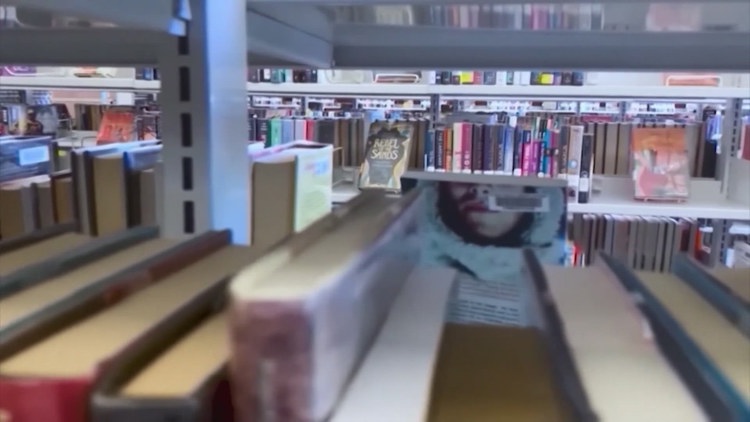 Full list: Here are the books an advocacy group wants pulled from Texas school libraries