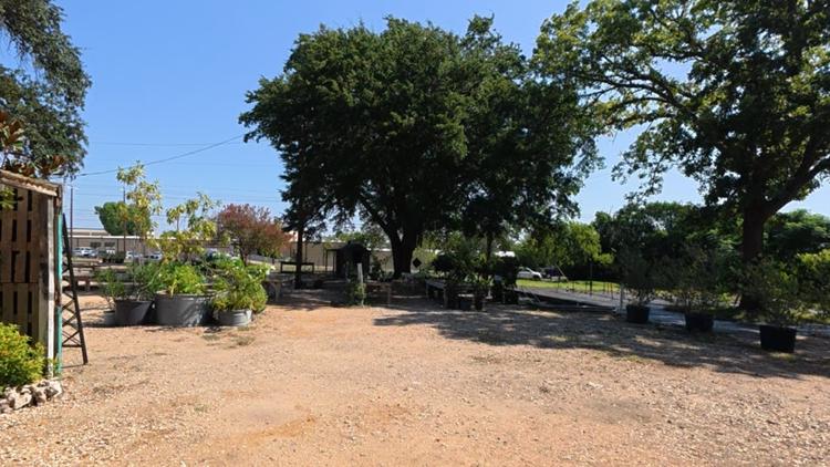 ‘It felt kind of like a nightmare’ | Water restrictions create challenges for Pflugerville nursery
