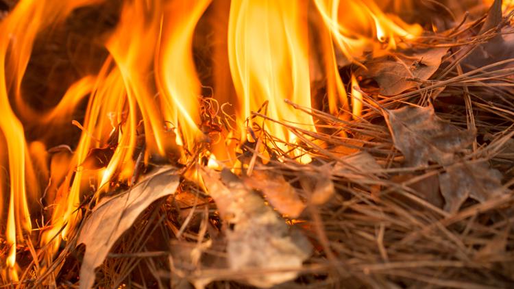 Brush fire near Manor now 100% contained