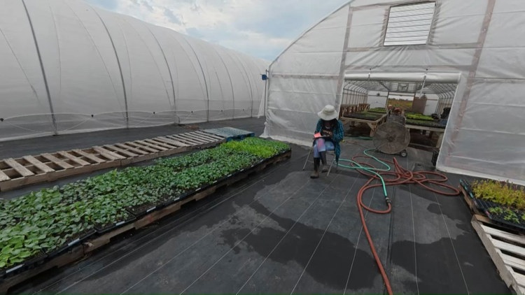 Farmshare Austin seeks community support after losing city funding